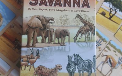 Ecosystem: Savanna, small boxed brilliance